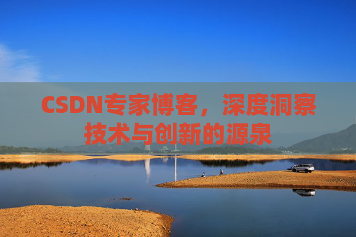 CSDN专家博客，深度洞察技术与创新的源泉